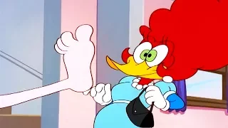 Woody Woodpecker Show | Aunt Pecky | 1 Hour Compilation | Videos For Kids