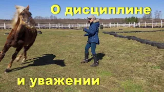 Ответы на вопросы. Дисциплина.