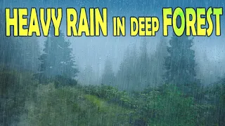 🎧 Heavy Rain & Thunder in Deep Forest - Ambient Sleep & Meditation Sounds, @Ultizzz day#80