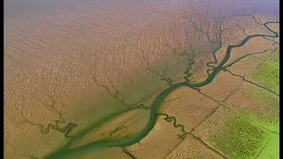 Der Nationalpark Schleswig-Holsteinisches Wattenmeer