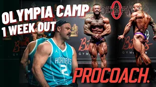ROAD TO 212 OLYMPIA | 48 Hours In Dubai