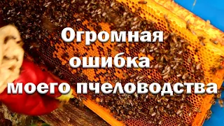 Фатальная ошибка начинающего пчеловода!