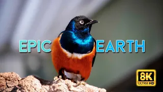 Epic earth video | World's Most Beautiful Destination 8K Video Ultra HD | 8K | SUPER 8K VIDEOS