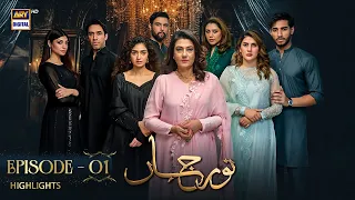 Noor Jahan Episode 1 Highlights | Kubra Khan | Ali Rehmna Khan | ARY Digital
