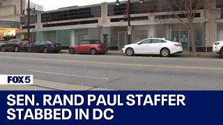 Senator Rand Paul's staff member stabbed in Northeast; man arrested, charged | FOX 5 DC