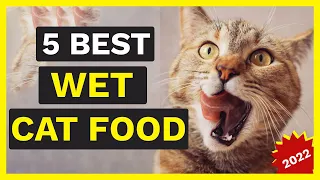 Best Wet Cat Food | 5 Best Canned Cat Foods 2022 🐱✅