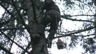 Timber Joey Harvests the 2011 Victory Log