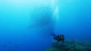 Awesome Diving Experience in Fuerteventura | Canary Islands 4K