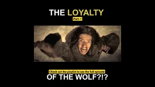 The Loyalty Of The Wolf||Part-1||Hollywood Movies Best Action scene||#shorts