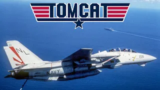 The F-14 Tomcat: The Ultimate Fleet Defender and the Grumman's Ultimate Cat