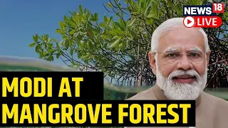 PM Modi Live | PM Modi At Mangrove Forest In Bali | G20 Leaders Visit Mangrove Forest | News18 Live