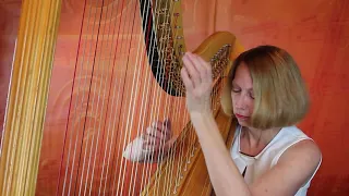 Clair de Lune by Claude Debussy on Harp