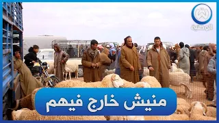 سوق المواشي باولاد جلال  عطالو 7 ملاين لاجملة ومحبش يبيع   زيد الدراهم