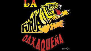 Furia Oaxaqueña Mix