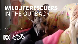 Wildlife rescuers cash in super to open outback sanctuary | Back Roads | ABC Australia