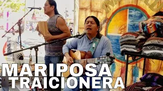 INKA GOLD - MARIPOSA TRAICIONERA cover (Maná) @inkagoldmusic