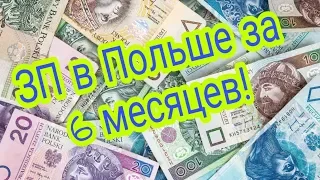 Сколько можно заработать в Польше за 6 месяцев. ЗП в Польше за 6 месяцев.