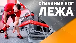 Сгибание ног лежа [Спортивный Бро]