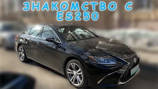 Знакомство с Lexus ES 250