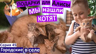 Серия 45 / Подарки для Алисы / Едем на день рождения / Нашли котят! / блинчики из кабачка