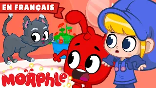 Morphle et les chatons | Morphle en Français | Dessins Animés Pour Enfants