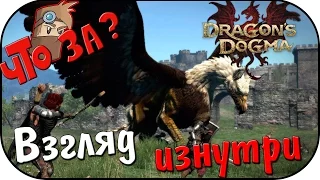 Что за Dragon's Dogma: Dark Arisen [PC 2016] ? - Взгляд Изнутри