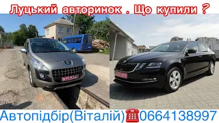 Peugeot 3008 / Skoda Octavia 2018 рік . Автопідбір на авторинку Луцьк. 6 червня 2023 р.