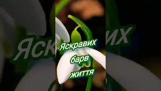 МАРІЯ! З днем народження!