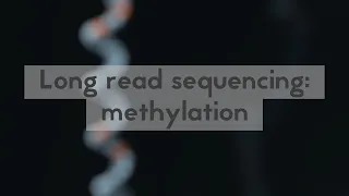 Long read sequencing: methylation