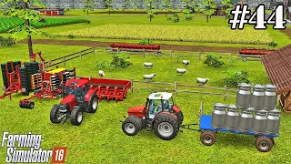 FS 16. Timelapse # 44.Selling milk and wool. Harvest of three crops.