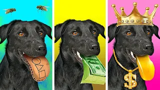 Mi perro mágico concede deseos | Perro rico vs. pobre vs. ultrarrico por Desafío Aceptado