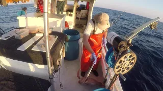 Grouper Fishing The Gulf of Mexico The Good the Bad & the Ugly..!