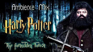 Harry Potter  - The Forbidden Forest - Ambience Mix