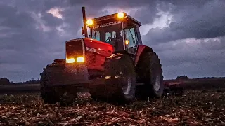 Talerzowanie Po Kukurydzy 2022 | Massey Ferguson 3125 |