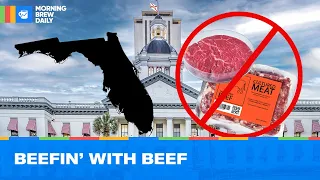 Florida Bans Lab-Grown Meats