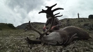 S:7 E:8 DIY Caribou in Alaska Father and Son Hunt with Remi Warren of SOLO HNTR