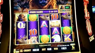 Bonuses Galore on BUFFALO LINK slot machine w/ Retriggers, Coins and Hold & Spin Bonus Games