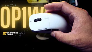 The one size fits all gaming mice? | Endgame Gear OP1we Review (Filipino)