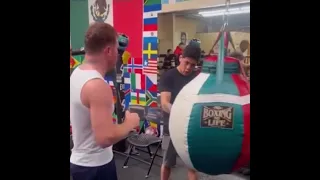 Canelo Alvarez shows Brandon Moreno “Body Punch”