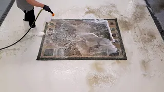 Washing a carpet with beautiful flowery pattern🥀 Speeded Up | asmr cleaning | pressure washing