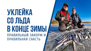 Ловля уклейки со льда в конце зимы. Рыбалка на Минском Море