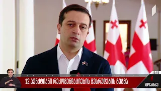 12-პუნქტიანი რეკომენდაციების შესრულების გეგმა