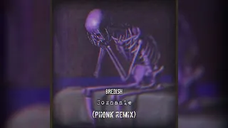 БРЕДИШЬ - Сознание (Phonk Remix by prosto4elick)