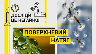 ДОСЛІДИ ЦЕ НЕГАЙНО! ПОВЕРХНЕВИЙ НАТЯГ