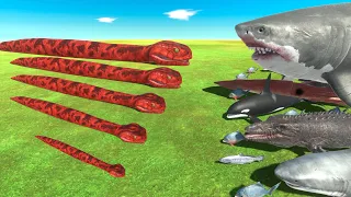 Titanoboa is Growing VS ALL Aquatics - Animal Revolt Battle Simulator