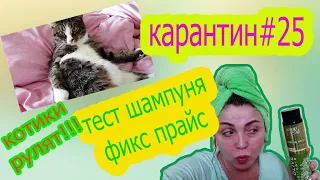 Котики рулят/ покупки Фикс прайс./ неприятный осадок после марафона/ бесит партнёрка АИР