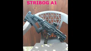 STRIBOG SP9A1 WITH CURVED MAGS