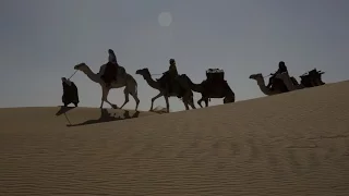 Королева пустыни / Queen of the Desert (2015) трейлер / русский язык