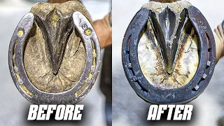 Full Horse Hoof Restoration | 4K FARRIER ASMR (SATISFYING)