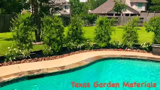 Pool Backyard Landscape - Houston, TX 77407